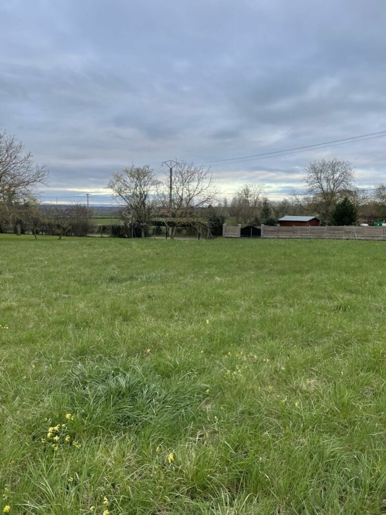 Terrain 2455 m²
