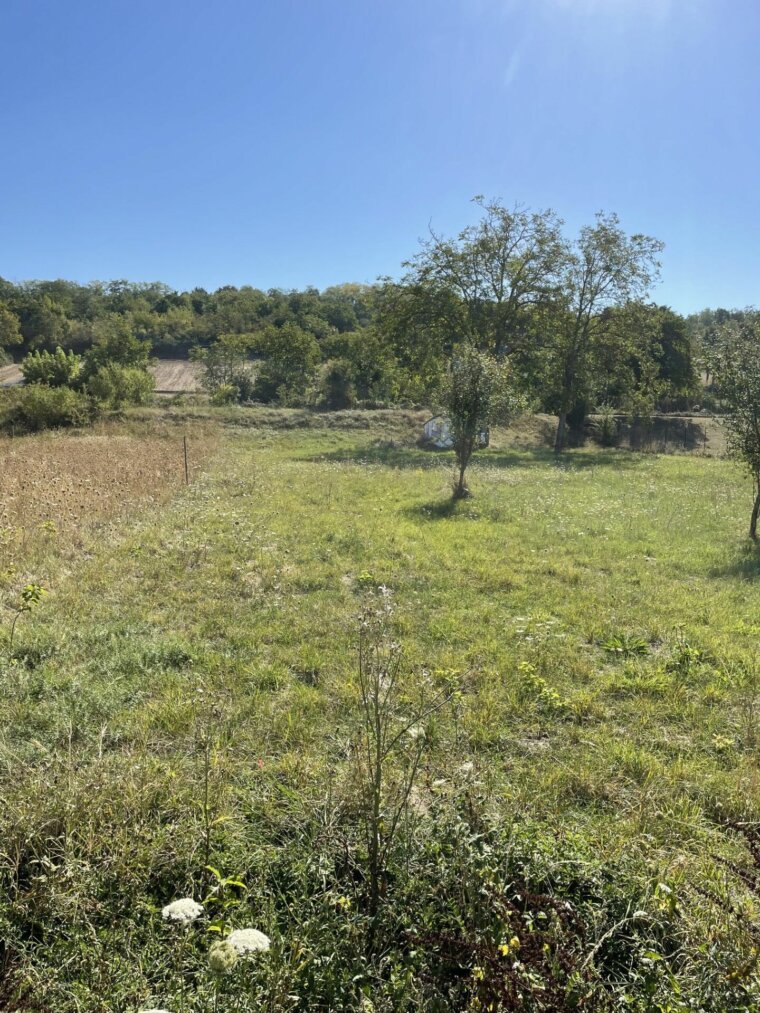 Terrain 1635 m²