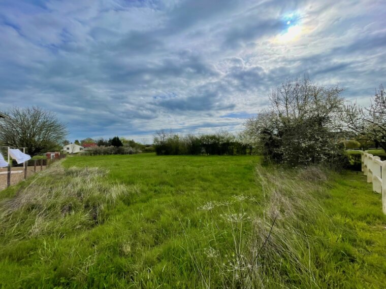 Terrain 2000 m²