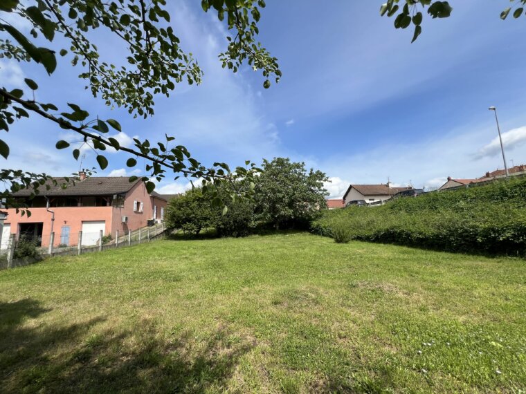 Terrain 1557 m²