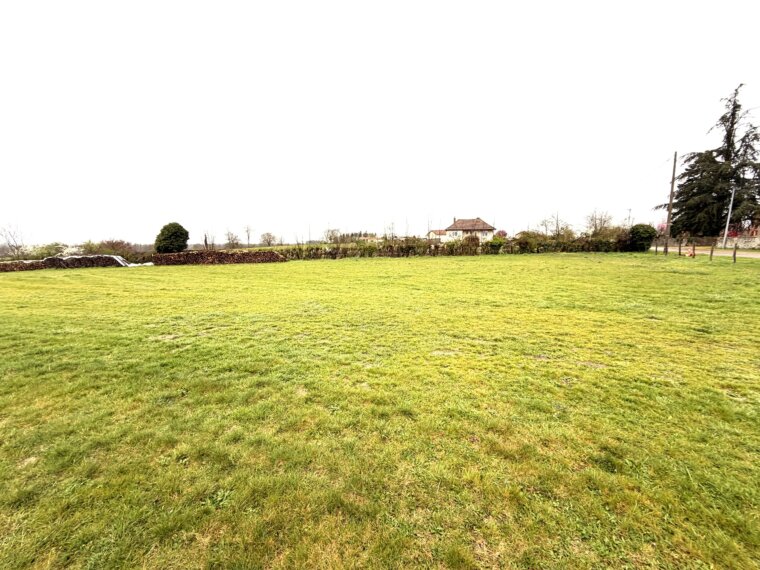 Terrain 3600 m²